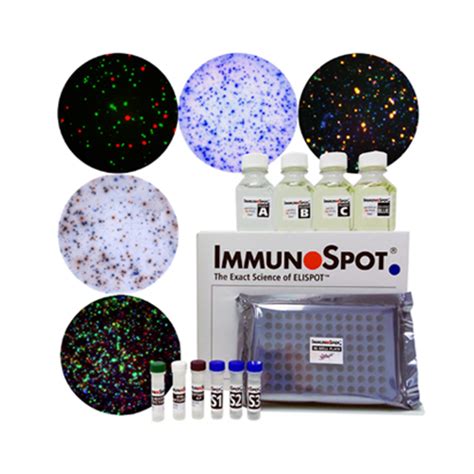 immunospot website